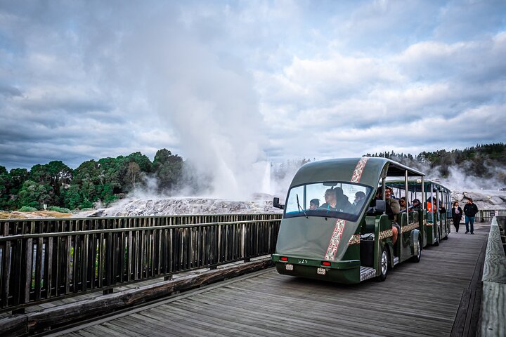 Auckland: Rotorua Tour with Waiotapu, Te Puia and Maori Haka