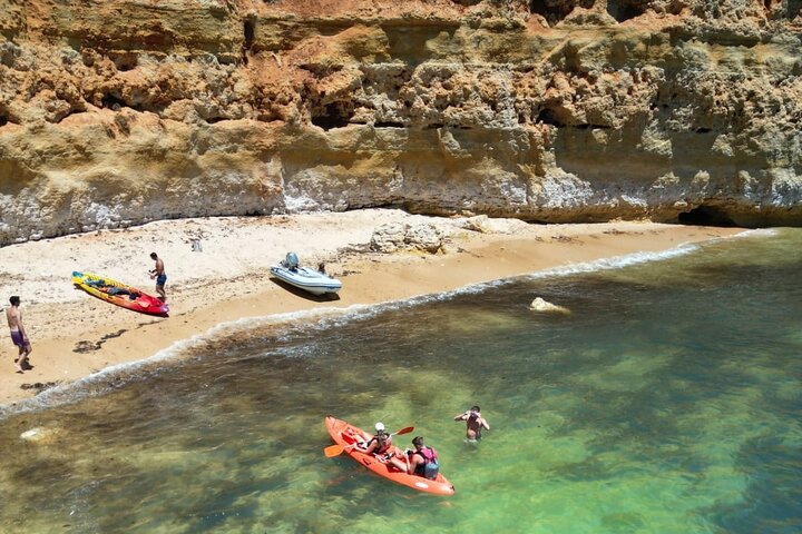 Kayak Experience with a Local