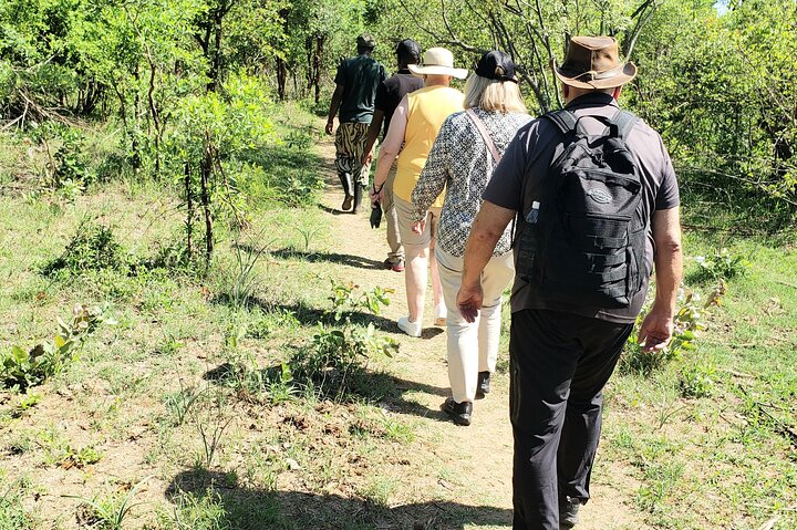 Game Drive Plus White Rhino Short Walk