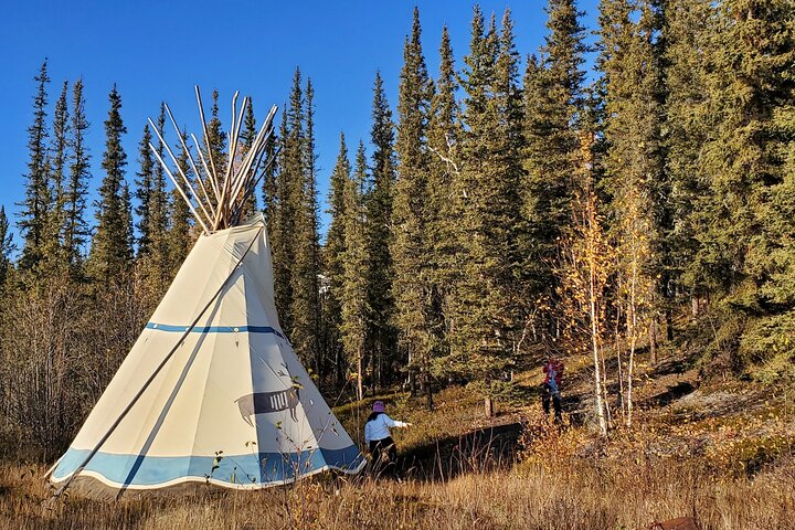 Yellowknife: Cameron Falls Hike + Shore Lunch 5hrs