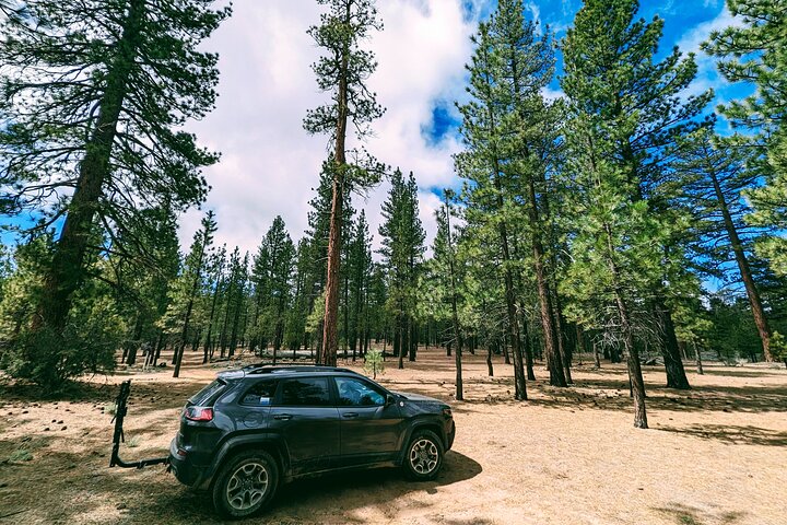 Big Bear Lake Jeep Tour with Light Lunch