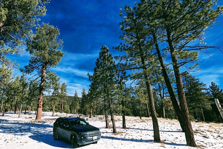 Big Bear Lake Jeep Tour with Light Lunch