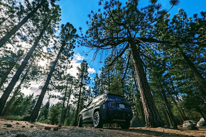 Big Bear Lake Jeep Tour with Light Lunch