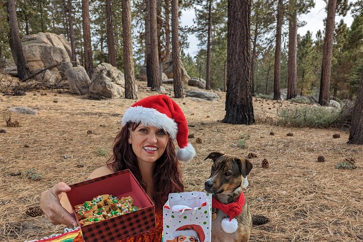 Big Bear Lake Jeep Tour with Light Lunch