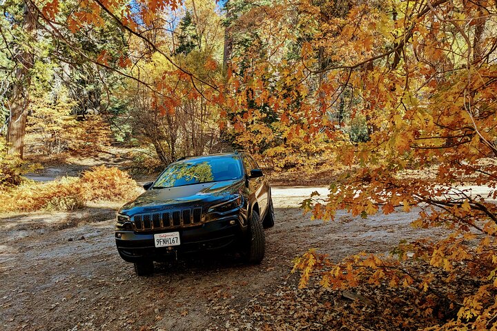Big Bear Lake Jeep Tour with Light Lunch