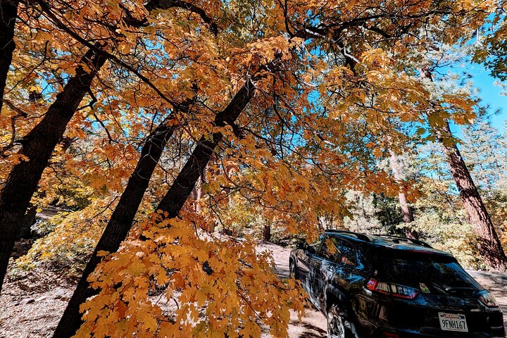 Big Bear Lake Jeep Tour with Light Lunch