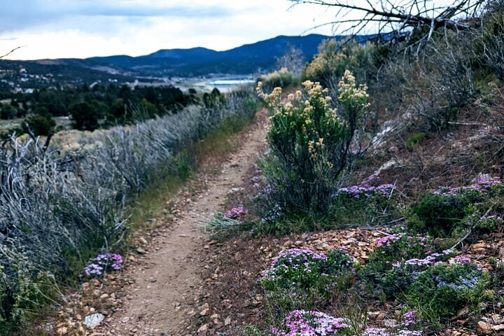 Family-Friendly Nature Hike around the Big Bear Valley
