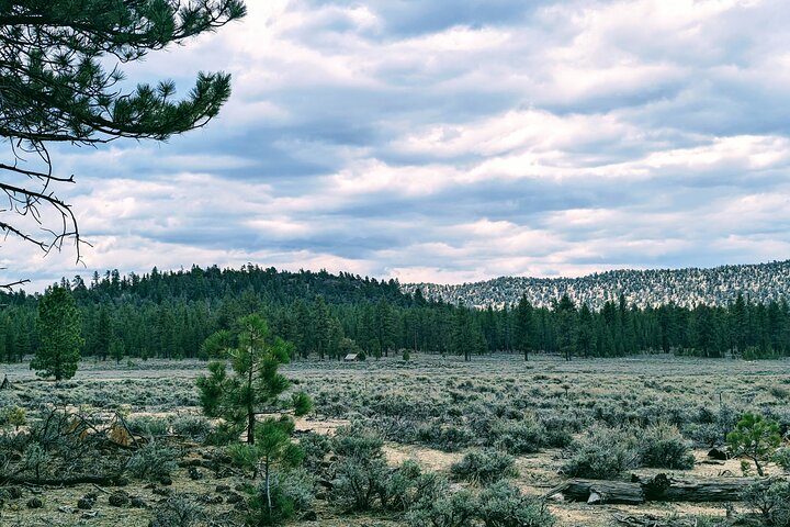 Family-Friendly Nature Hike around the Big Bear Valley