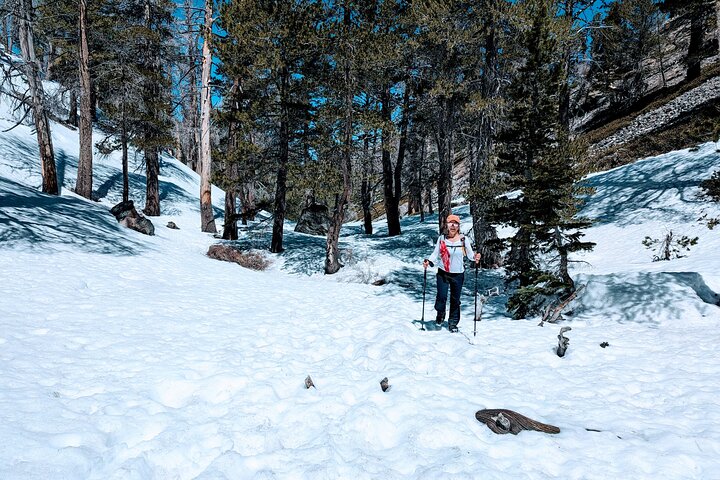 Family-Friendly Nature Hike around the Big Bear Valley