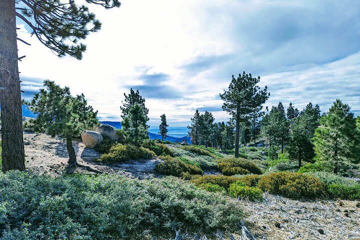 Family-Friendly Nature Hike around the Big Bear Valley