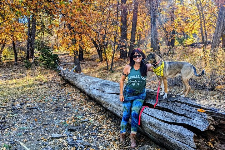 Family-Friendly Nature Hike around the Big Bear Valley