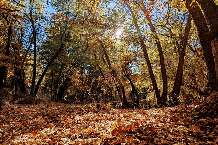 Family-Friendly Nature Hike around the Big Bear Valley