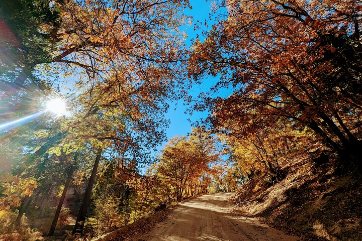 Family-Friendly Nature Hike around the Big Bear Valley