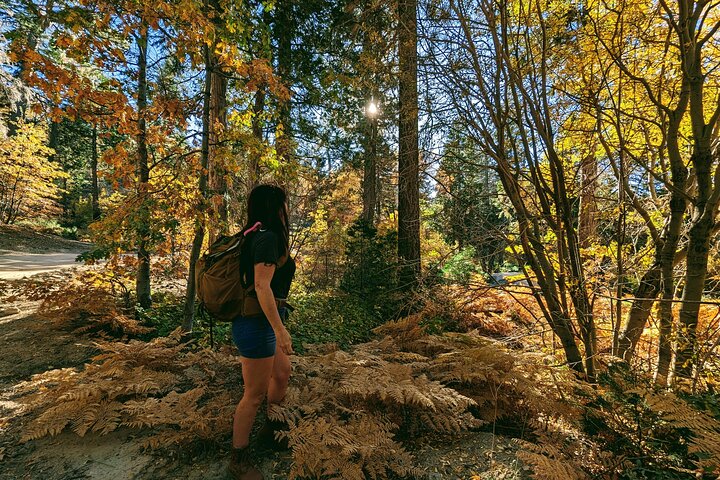 Family-Friendly Nature Hike around the Big Bear Valley