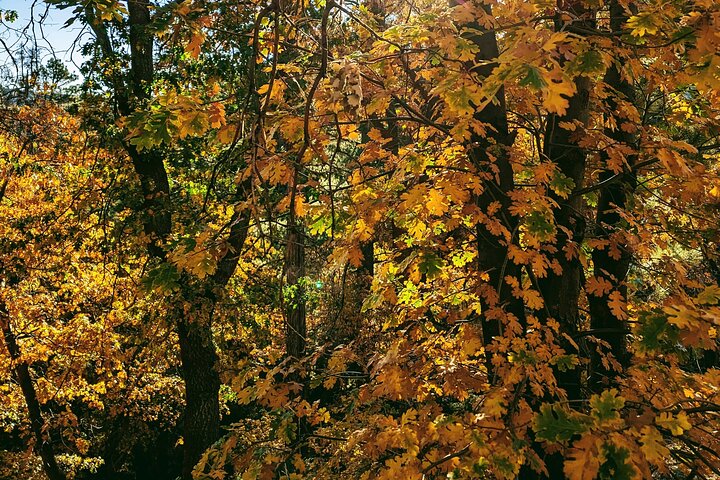 Family-Friendly Nature Hike around the Big Bear Valley