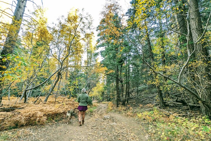 Family-Friendly Nature Hike around the Big Bear Valley