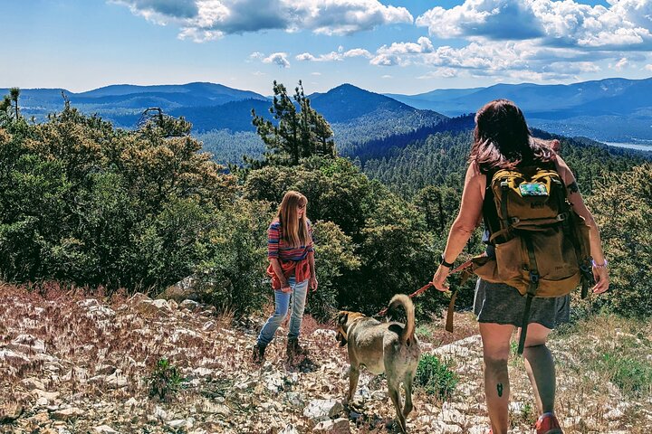 Family-Friendly Nature Hike around the Big Bear Valley