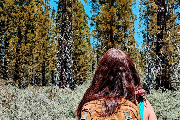 Family-Friendly Nature Hike around the Big Bear Valley