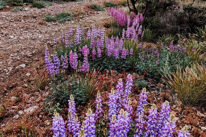 Family-Friendly Nature Hike around the Big Bear Valley