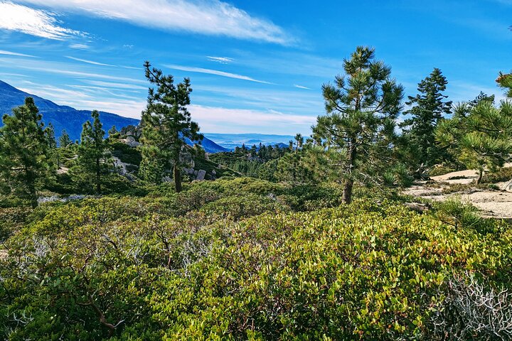A Local's Favorite Hike in Big Bear with Lake Swimming Experience