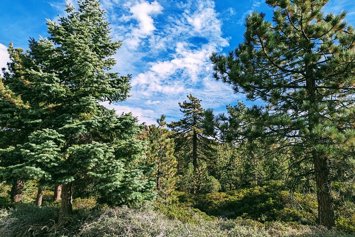 A Local's Favorite Hike in Big Bear with Lake Swimming Experience