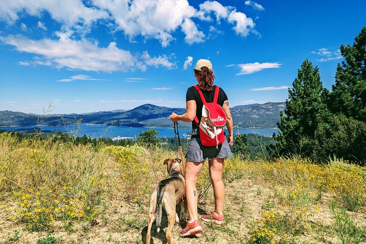 A Local's Favorite Hike in Big Bear with Lake Swimming Experience
