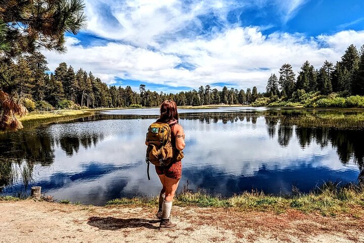 Big Bear Jeep off-road tour with Hike to Bluff Lake Reserve
