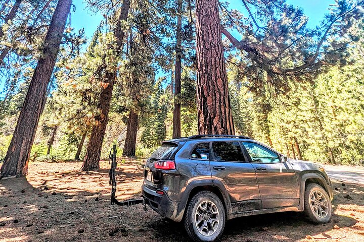 Big Bear Jeep off-road tour with Hike to Bluff Lake Reserve