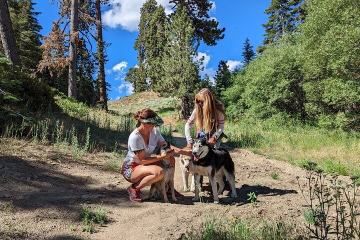 Big Bear Jeep off-road tour with Hike to Bluff Lake Reserve