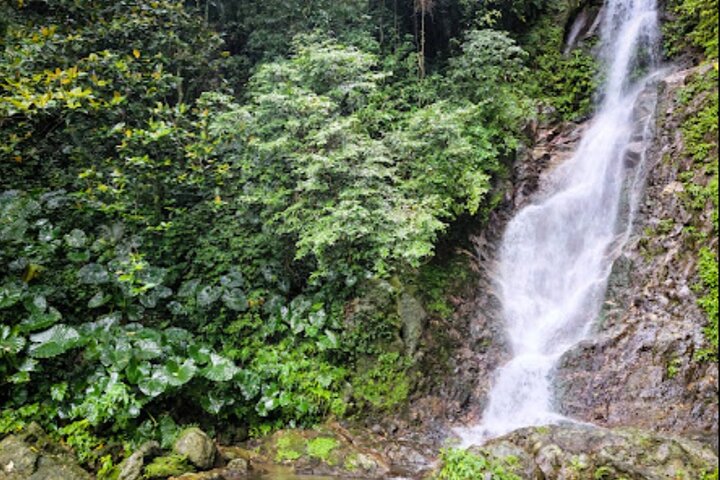 2026 Taroko Gorge Tour Excellent Cultural Stories , 8 Hours