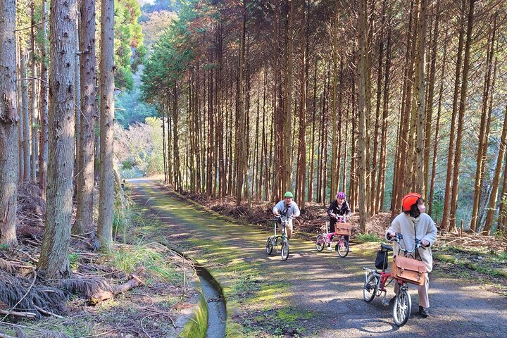 World Agricultural Heritage BROMPTON Slow Cycling Tour