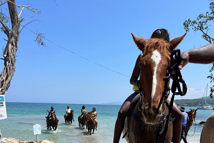 Bamboo Rafting, ATV, Horseback Ride & Zipline Montego Bay Jamaica