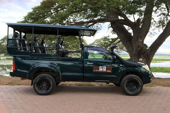 Yala National Park Wildlife Safari/ Game Drive - by Ajith Safari