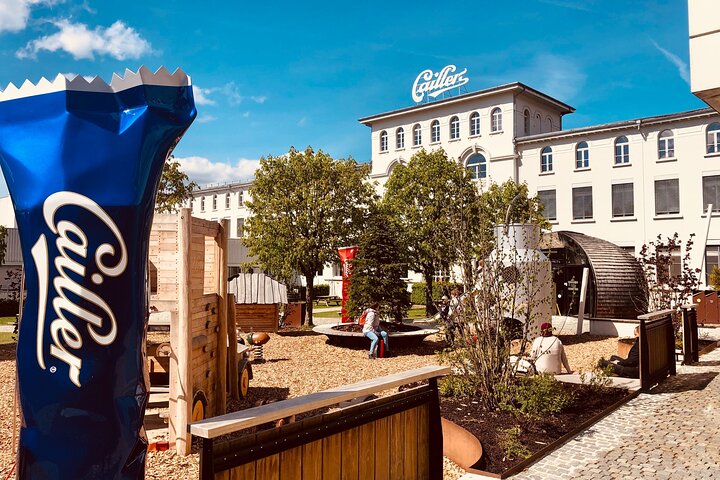 Gruyères Cheese and Chocolate tour from Geneva with local host