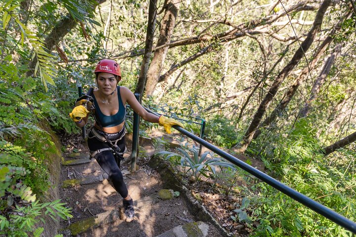 Canopy Los Veranos Zipline