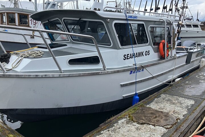 Whale Watching Hoonah Alaska