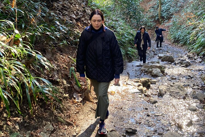 Full Day Hiking Tour at Mt.Takao including Hot Spring