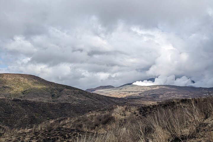 Private guided tour: Mt. Aso volcano, grasslands, Aso Shrine