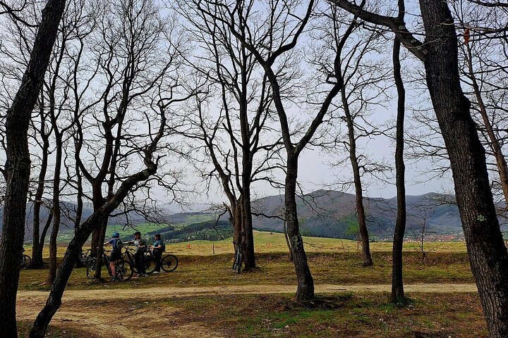 Sambata de Sus: E-Bike Guided Tours