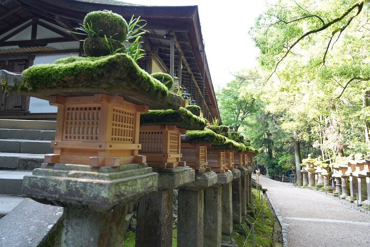 Nara Early Morning Tour Kyoto or Osaka Departure Available