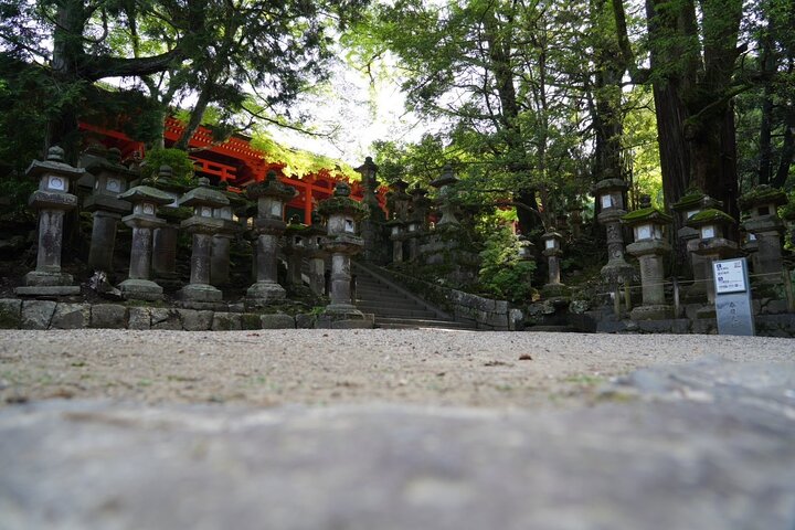 Nara Early Morning Tour Kyoto or Osaka Departure Available