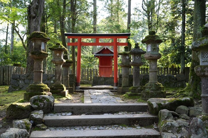 Nara Early Morning Tour Kyoto or Osaka Departure Available