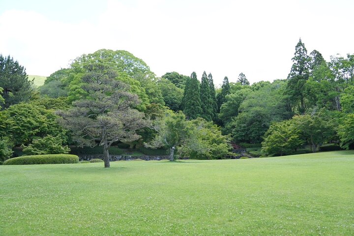 Nara Early Morning Tour Kyoto or Osaka Departure Available