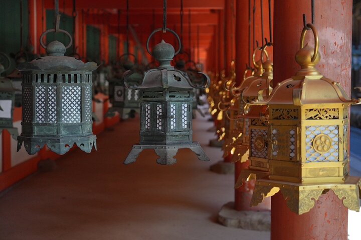 Nara Early Morning Tour Kyoto or Osaka Departure Available