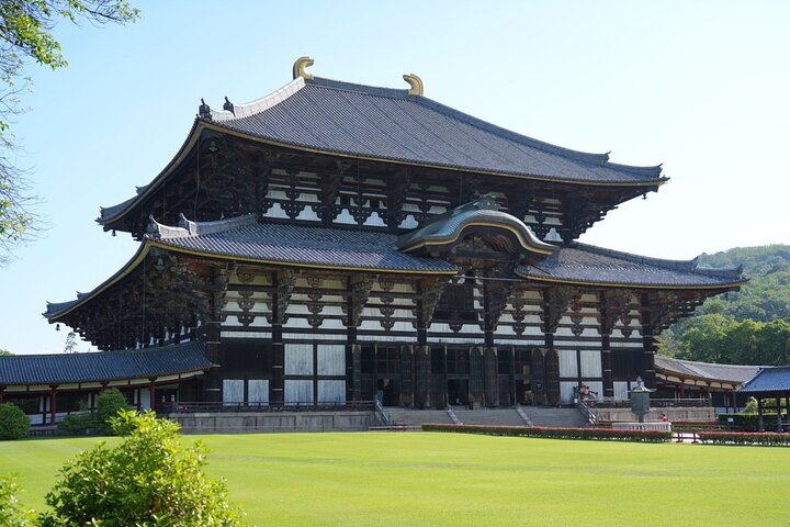 Nara Early Morning Tour Kyoto or Osaka Departure Available