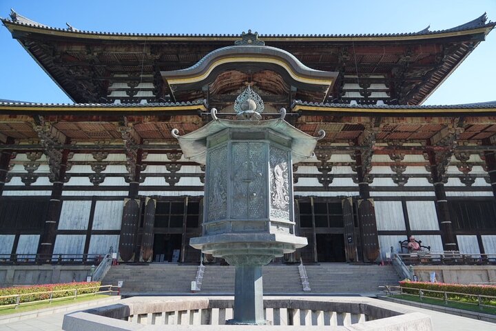 Nara Early Morning Tour Kyoto or Osaka Departure Available