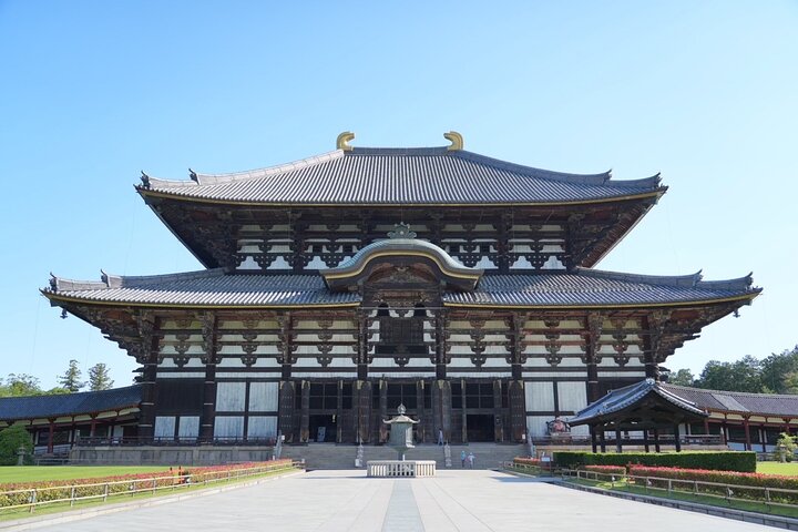 Nara Early Morning Tour Kyoto or Osaka Departure Available