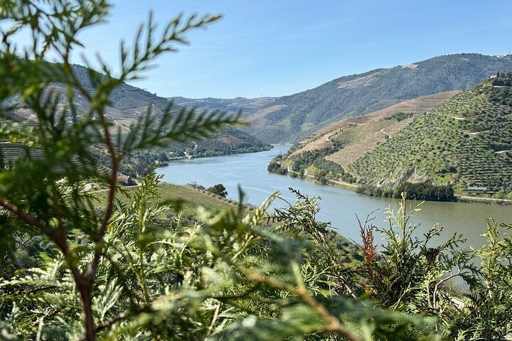 Lisbon to Douro Valley One Way Trip Up to 4 Stops