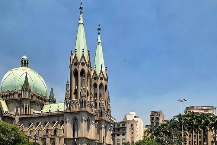 São Paulo Highlights Walking Tour with a Guide