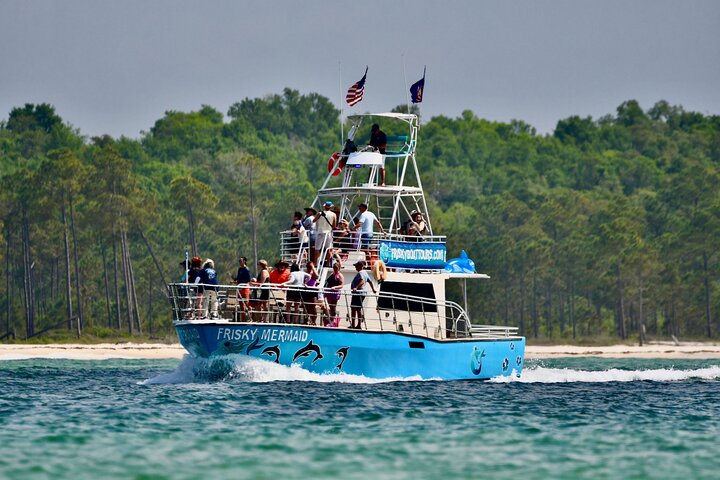 Shared Dolphin Cruise in Pensacola Beach | Frisky Mermaid